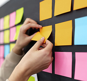 Guía del organizador